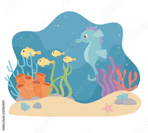 seahorse fishes starfish sand life coral reef cartoon under the sea