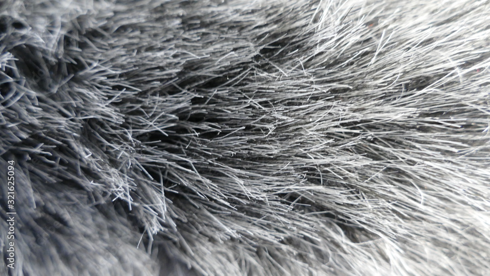 texture of fur texture of fur