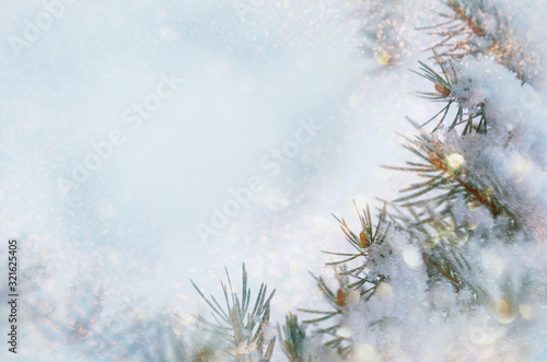 Christmas winter snow background. Blue spruce branches covered with snowflakes and copy space with  blurred backdrop  bokeh. Christmas scene.