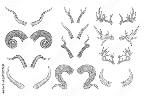Vector set of hand drawn animals horns on white background. Sketch illustration. Monochrome image. photo