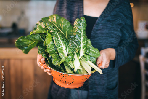 Fotografie Chard leaves