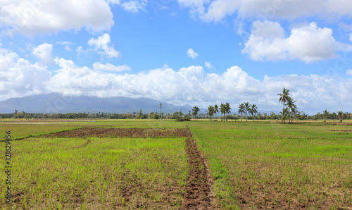 Farm in Tabontabon, Leyte, Philippines photo