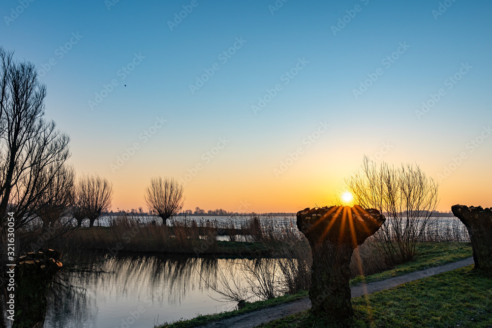 The low morning sun hangs just above this pruned willow along the shores of Lake Zoetermeerse Plas The low morning sun hangs just above this pruned willow along the shores of Lake Zoetermeerse Plas