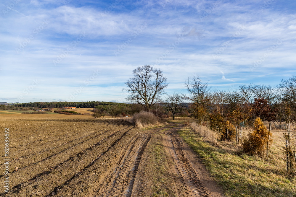 Early spring. Dirt road across meadow. South Bohemia. Early spring. Dirt road across meadow. South Bohemia.