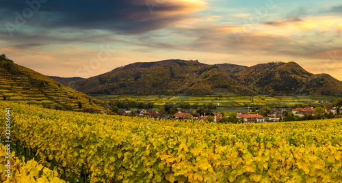 Beautiful Wachau valley with autumn vineyards. Evening sky. Lower Austria.