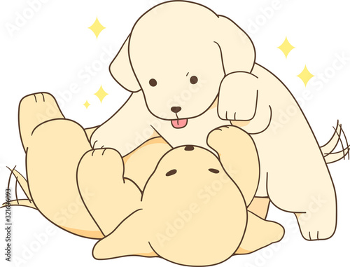 ゴールデンレトリバーの子犬（子犬同士でじゃれつく）