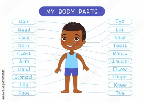 My body parts educational infographic kids poster vector template. Cute girl showing external organs names. Cartoon anatomy childish printable banner design, english words learning card layout