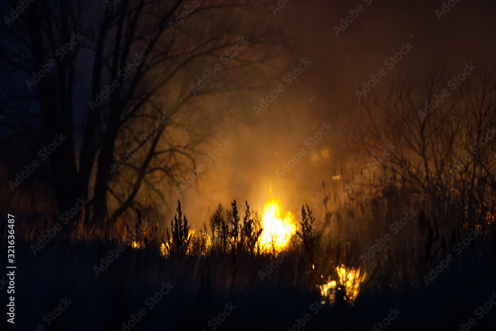 Dry grass burns at night. Pastures and meadows in the countryside. An environmental disaster involving irresponsible people. Luxurious mystical night landscapes shot on a 300mm lens.