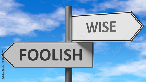 Foolish and wise as a choice - pictured as words Foolish, wise on road signs to show that when a person makes decision he can choose either Foolish or wise as an option, 3d illustration