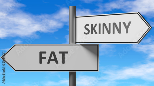 Fat and skinny as a choice - pictured as words Fat, skinny on road signs to show that when a person makes decision he can choose either Fat or skinny as an option, 3d illustration