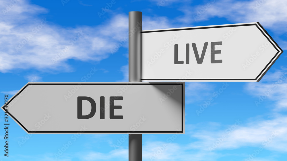 Die and live as a choice - pictured as words Die, live on road signs to show that when a person makes decision he can choose either Die or live as an option, 3d illustration Die and live as a choice - pictured as words Die, live on road signs to show that when a person makes decision he can choose either Die or live as an option, 3d illustration