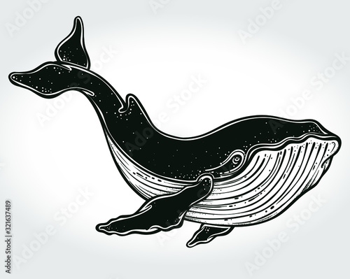 Beautiful hand-drawn artwork of whale . Tattoo art, graphic, t-shirt design, postcard, poster design, coloring books,spirituality. Vector illustration.