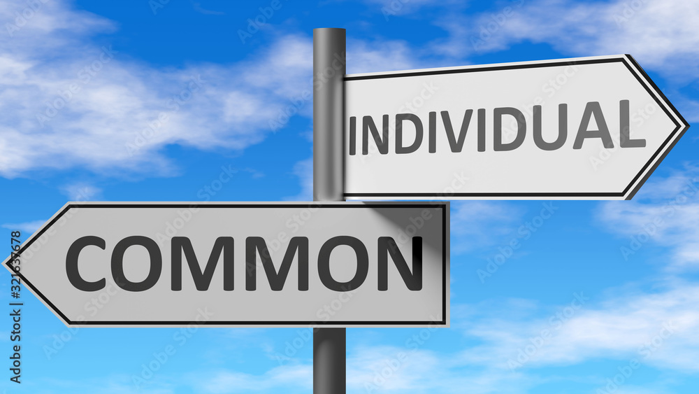 Common and individual as a choice - pictured as words Common, individual on road signs to show that when a person makes decision he can choose either Common or individual as an option, 3d illustration Common and individual as a choice - pictured as words Common, individual on road signs to show that when a person makes decision he can choose either Common or individual as an option, 3d illustration