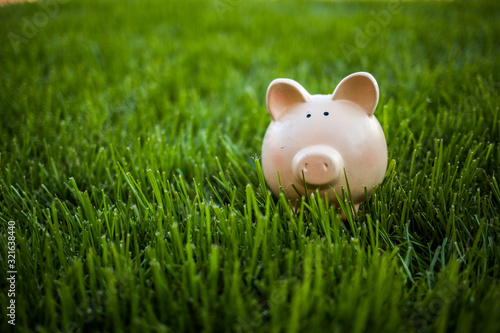 Piggy Bank grass outdoor