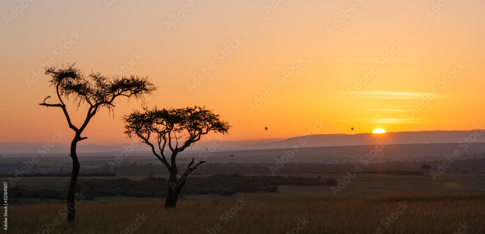 Sunset in the African savannah