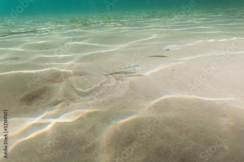 Sand sea bottom of Adriatic Sea, Croatia