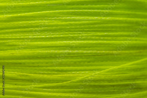 Green plastic vein wire fishing line close-up. Macro photo