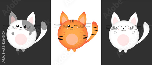 Photography Set of cute and kawaii rounded cats