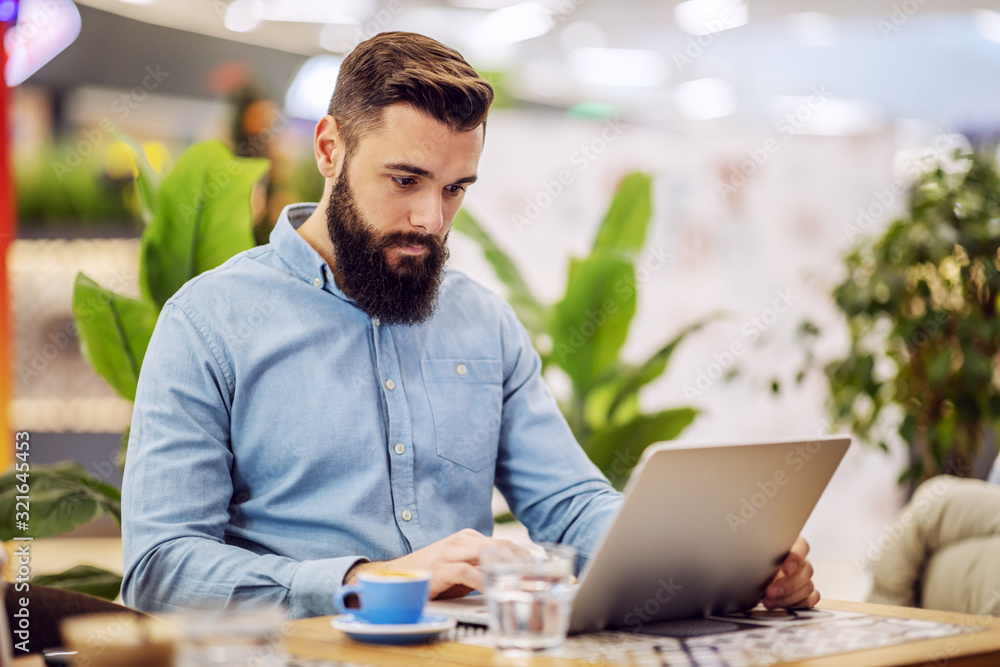Young handsome busy entrepreneur sitting in cafeteria and using laptop for work. Young handsome busy entrepreneur sitting in cafeteria and using laptop for work.