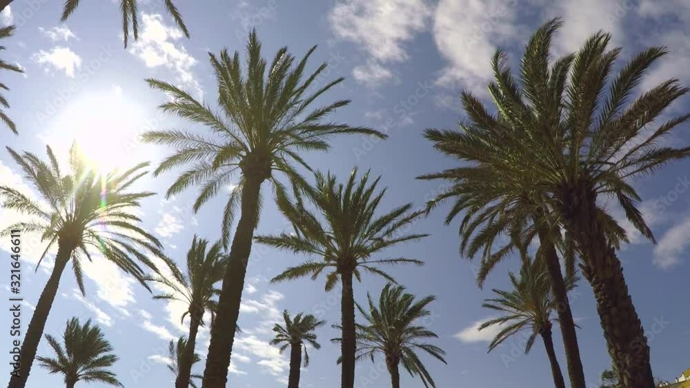 Palm trees on blue sky background with shining sun, light clouds. Sunny day, up sky view, relaxing. The sun's rays pass through the leaves of the palm. Lens flare effect. Sea breeze, Spain. Palm trees on blue sky background with shining sun, light clouds. Sunny day, up sky view, relaxing. The sun's rays pass through the leaves of the palm. Lens flare effect. Sea breeze, Spain.