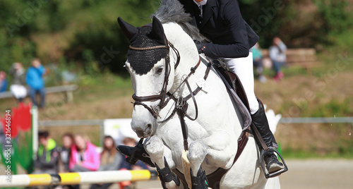 Show jumping white horse with rider, close up of horse's head during the jump..