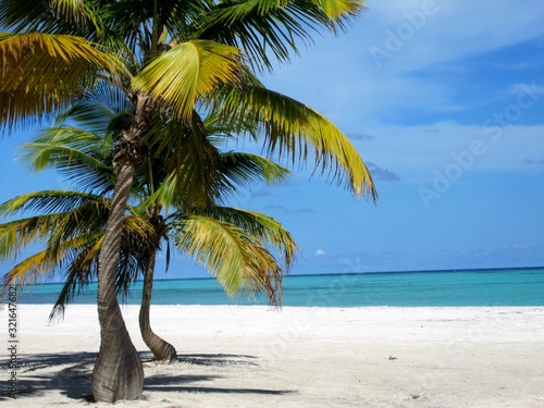 Fototapeta Naklejka Na Ścianę i Meble -  Sunny Beach, Caribbean, Dominican Republic