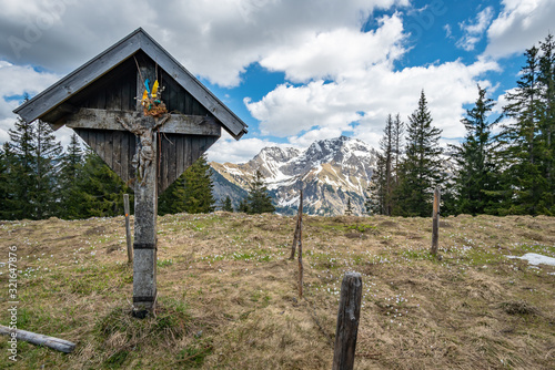 Fantastic hike to the sun heads in the Allgau photo