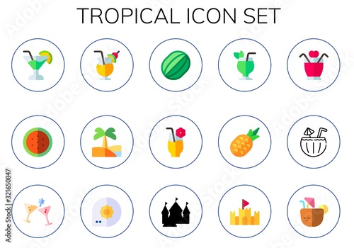 tropical icon set