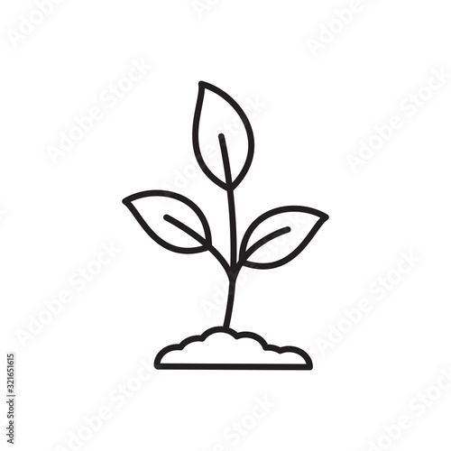 Plant icon ,garden icon vector flat style illustration