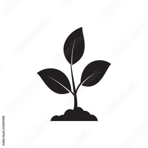 Plant icon ,garden icon vector flat style illustration