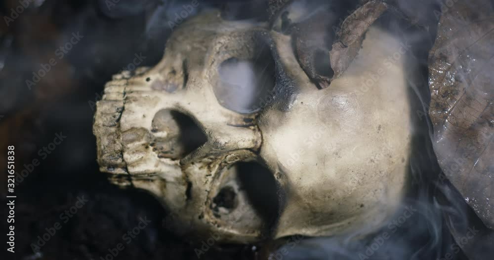 Human skull on the wet soild with smoke flowing Human skull on the wet soild with smoke flowing