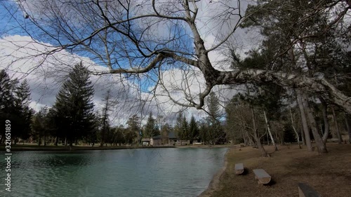 Tilt down Sobec camping resort trees and pond, Slovenia photo