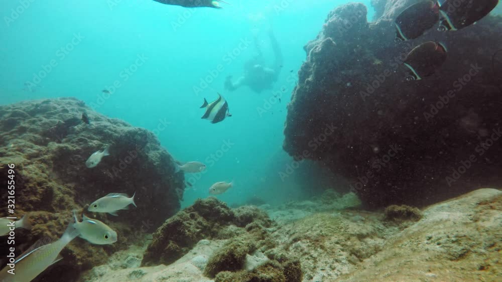 A tourist enjoy a swim by the corals of Thailand - underwater shot A tourist enjoy a swim by the corals of Thailand - underwater shot