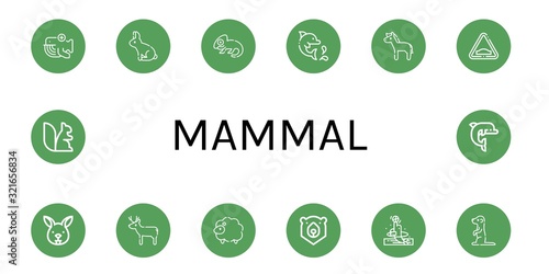 mammal icon set