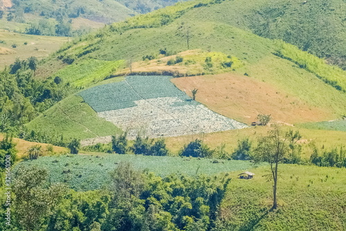 view of agriculture plantations on side hill with green nature background, Phop Phra District, Tak Province, western of Thailand.