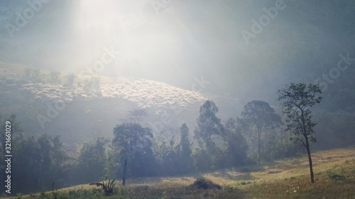 Mountain view morning of sun rays shining on top hill around with soft mist background, Phop Phra District, Tak, west of Thailand.