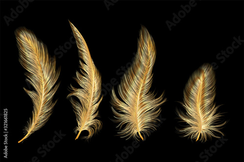 Set of gold  feather. Vector illustration.