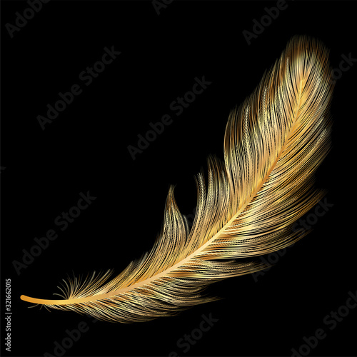 art, background, beautiful, beauty, bird, black, bright, calligraphy, color, colored, colorful, concept, creative feathers, decoration, draw, drawing, elegance, element, feather, fluffy, fly, gold, go