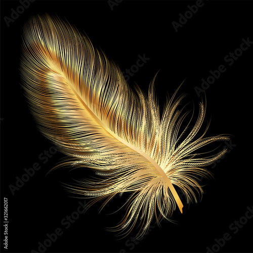 art, background, beautiful, beauty, bird, black, bright, calligraphy, color, colored, colorful, concept, creative feathers, decoration, draw, drawing, elegance, element, feather, fluffy, fly, gold, go