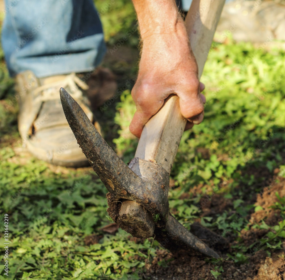 Old man working with the pickax in the field. Old man working with the pickax in the field.