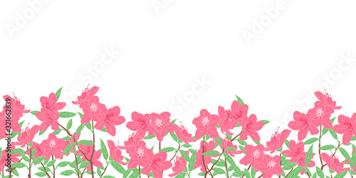 Romantic pink azalea flowers or rhododendron blossom in spring background and borders. Floral frame border seamless pattern. Great for wallpaper, wedding or valentine's day card, invitation. photo