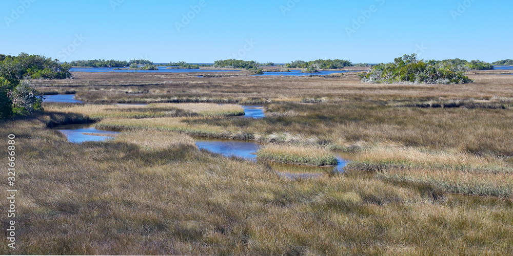 Coastal scenery at Withlacoochee Gulf Preserve, located along the Gulf coast in Levy County, Florida