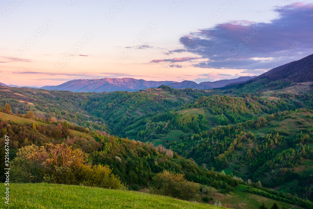 rural landscape in mountains at dusk. amazing view of carpathian countryside with fields and trees on rolling hills. glowing purple clouds on the sky. calm weather in springtime rural landscape in mountains at dusk. amazing view of carpathian countryside with fields and trees on rolling hills. glowing purple clouds on the sky. calm weather in springtime