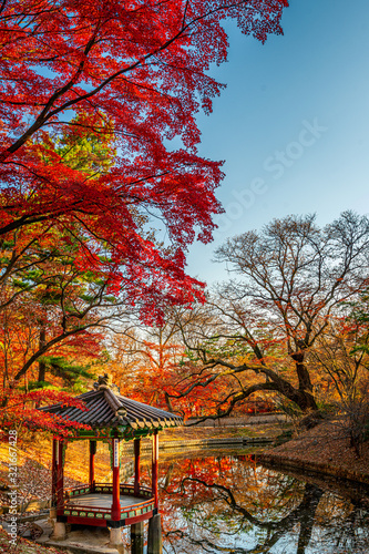Gardens, Ponds, Pavilions and Fall Foliage at Changdeokgung Palace in Seoul Korea