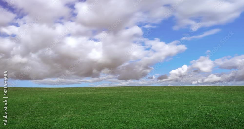 Field of spring grass and sunny day Field of spring grass and sunny day