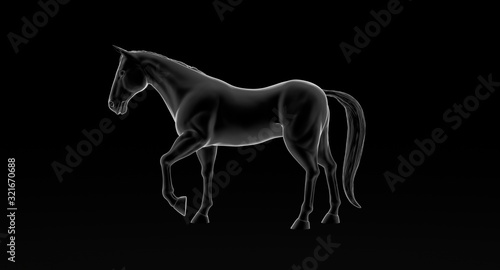 black horse on black background 3d illustration