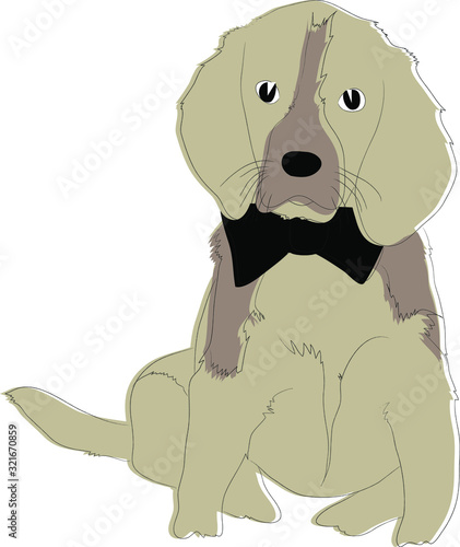 Beige Dog With A Bow-Tie 