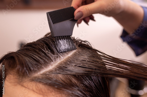 To smear a mask for hair coloring or nutrition and care. Work of the master in a hairdressing salon close-up. The concept of beauty and style.