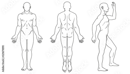 Human body front, back and side views