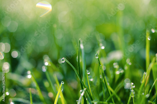 Little drops of dew on the grass and a beautiful bokeh on a background